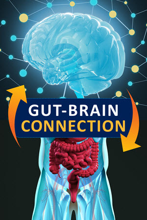 Illustration of brain and gut. Text: Gut-Brain Connection