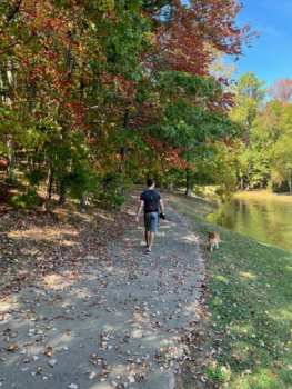 Walking trail in the Triangle