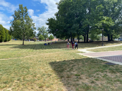 Open grassy area outside office building with several trees; people in distance