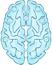 Blue brain illustration