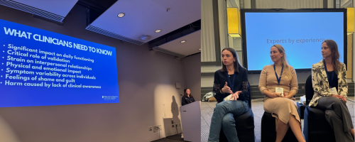 Lived experience presentation