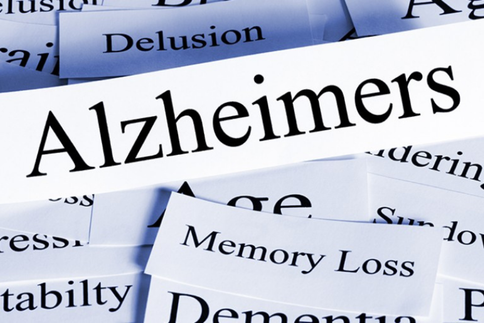 Small pieces of paper with words related to Alzheimers disease