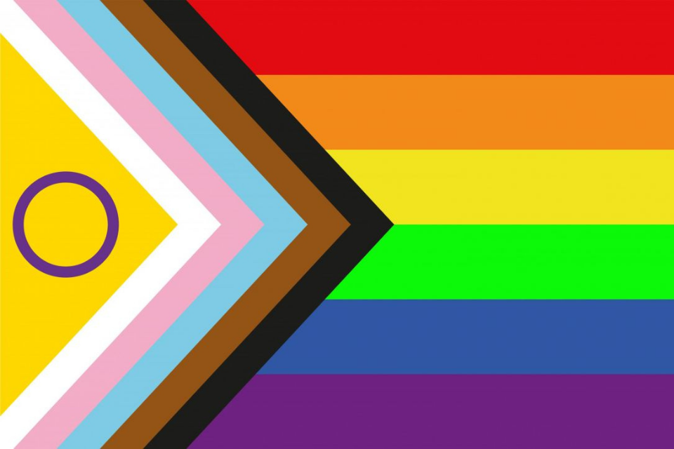 LGBTQIA+ Flag