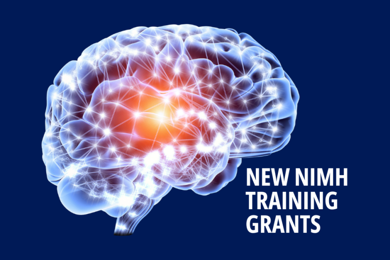 Brain Image - Caption - New NIMH Training Grants