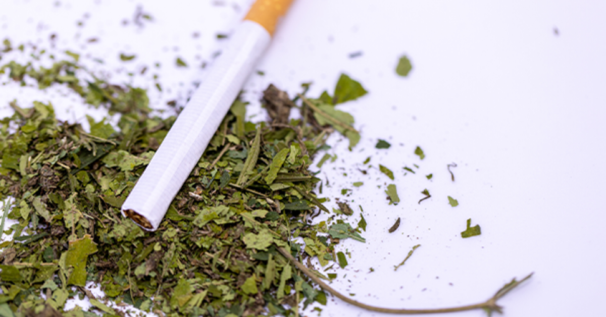 Pain Drives Dual Tobacco and Cannabis Use, Study Shows Duke