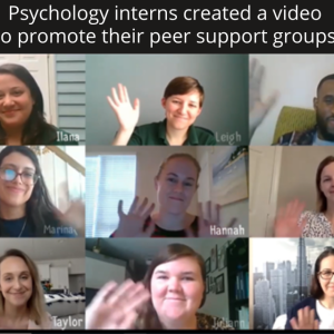 Psychology intern images from a Zoom meeting