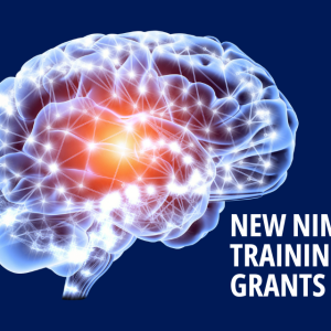 Brain Image - Caption - New NIMH Training Grants