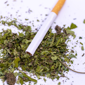 Cigarette lying over small pile of marijuana