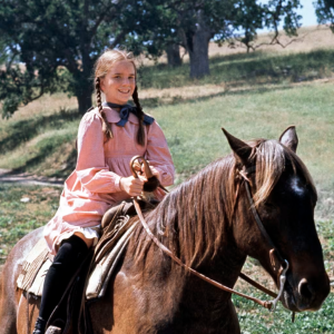 Melissa Gilbert